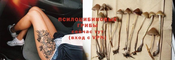 гашик Белоозёрский