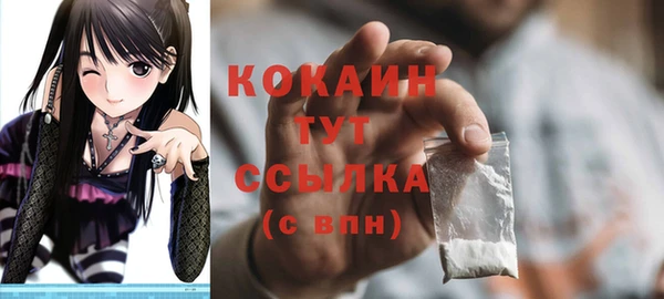 гашик Белоозёрский