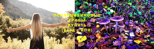 крисы Белокуриха