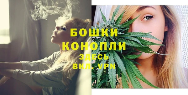 крисы Белокуриха