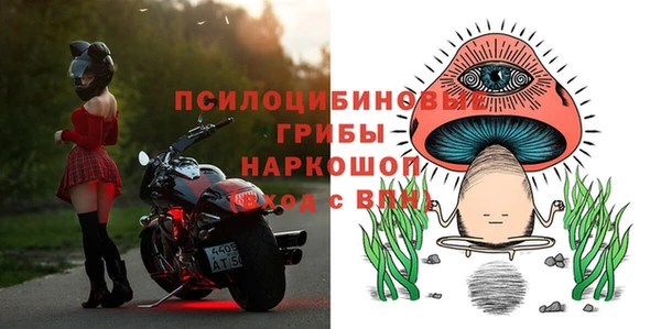 крисы Белокуриха